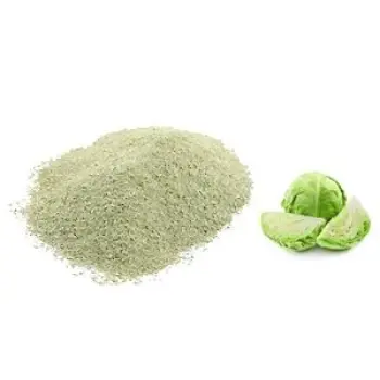 Natural Cabbage Powder